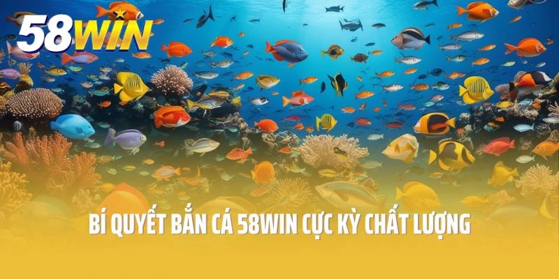 Bí quyết bắn cá 58win cực kỳ chất lượng