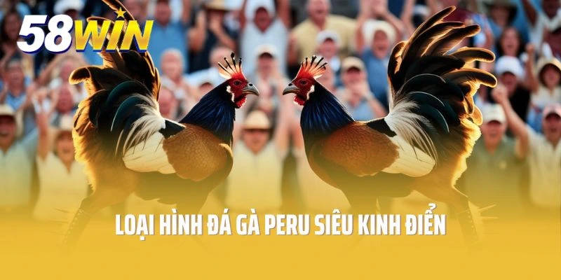 Loại hình đá gà Peru siêu kinh điển