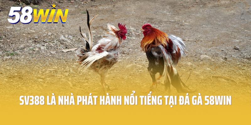 SV388 là nhà phát hành nổi tiếng tại đá gà 58win