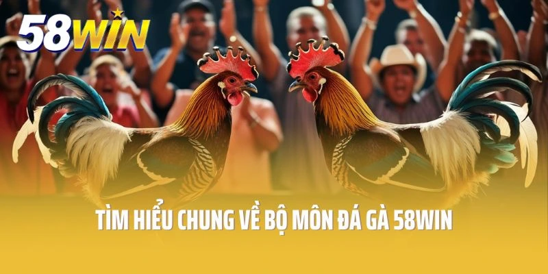 Tìm hiểu chung về bộ môn đá gà 58win