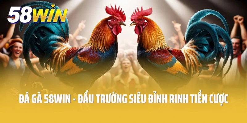 Đá Gà 58win - Đấu Trường Siêu Đỉnh Rinh Tiền Thắng Cược