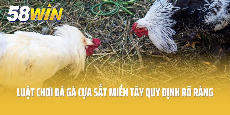 Luật chơi đá gà cựa sắt miền Tây quy định rõ ràng