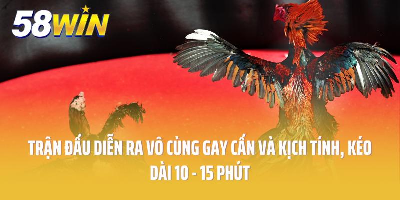 Trận đấu diễn ra vô cùng gay cấn và kịch tính, kéo dài 10 - 15 phút