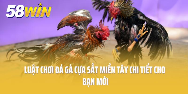 Luật Chơi Đá Gà Cựa Sắt Miền Tây Chi Tiết Cho Bạn Mới